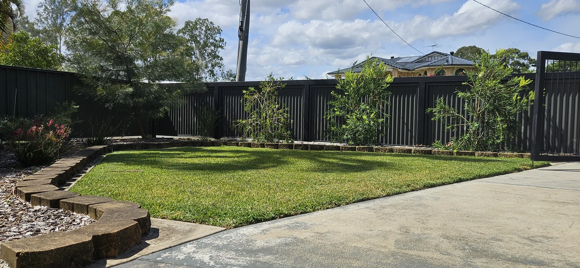 Tidy garden and lawn