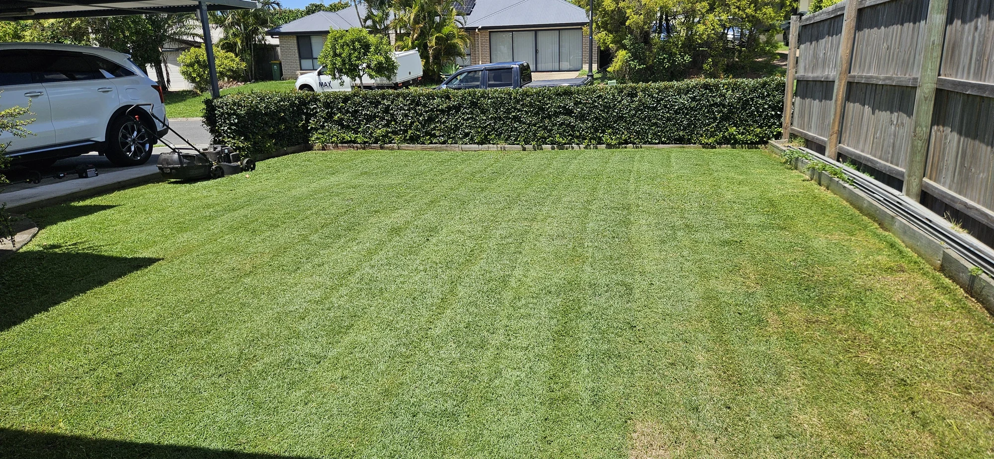 Freshly mown lawn