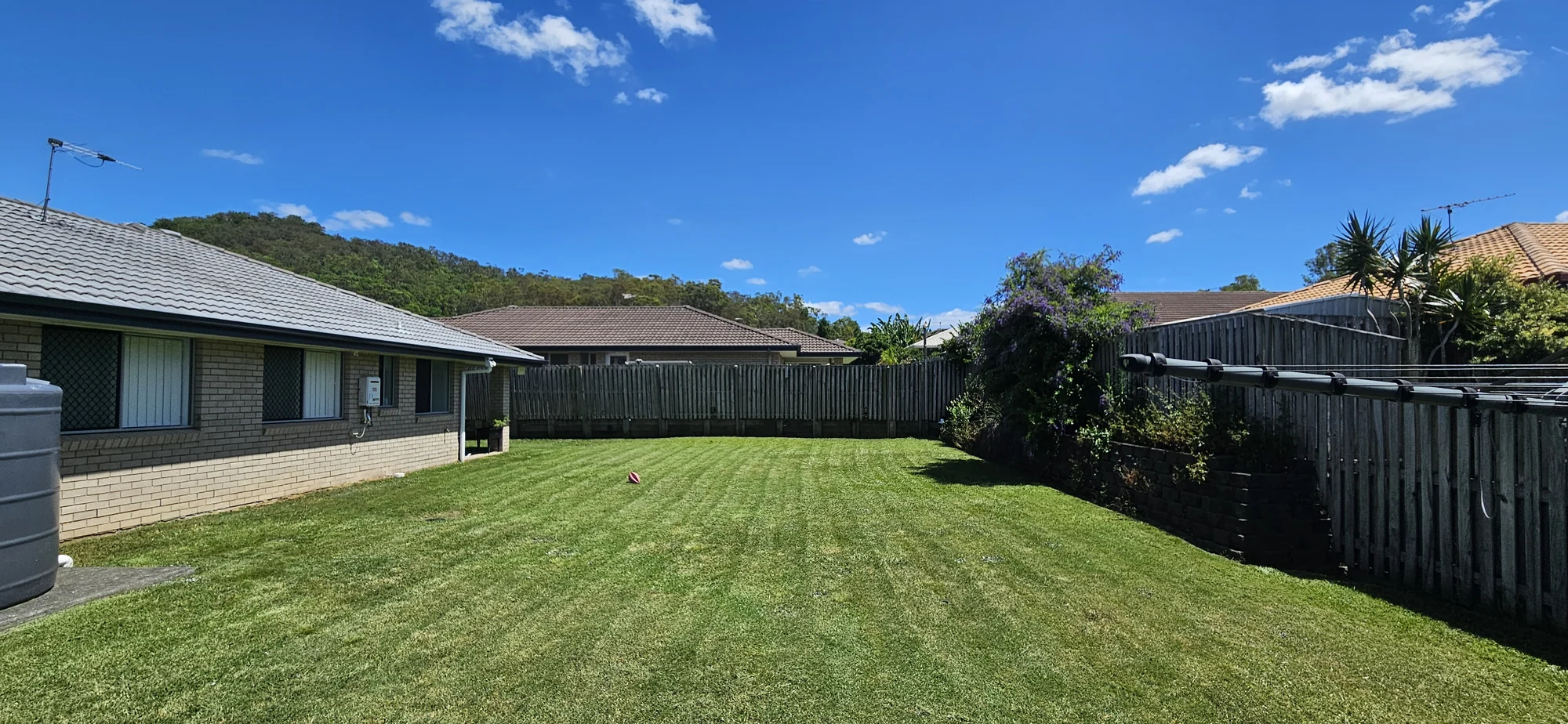 Freshly mown backyard lawn